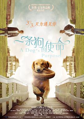 久草精品国产